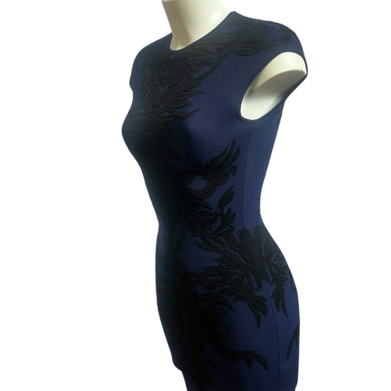 Robe Alexander McQueen