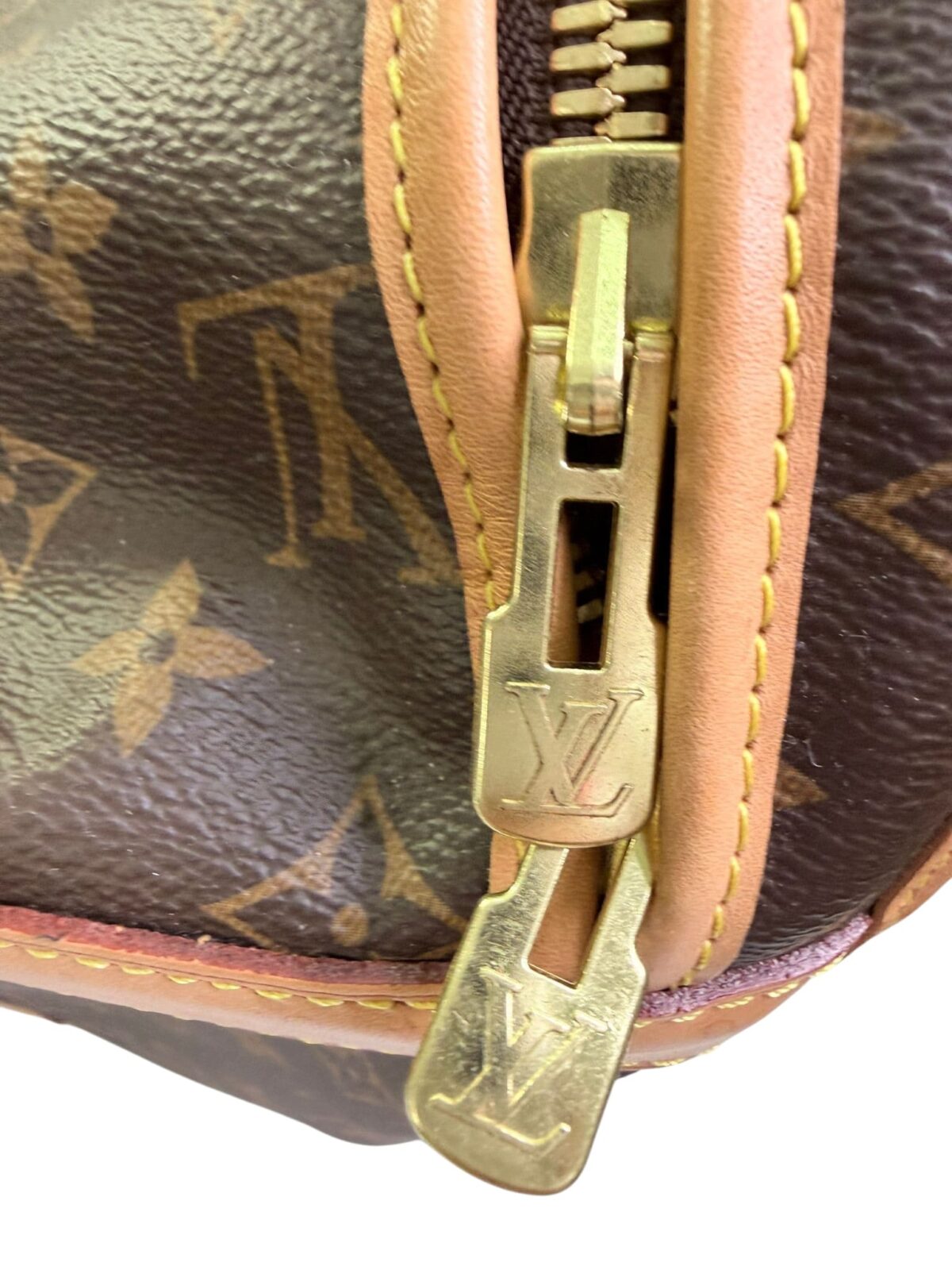 Sac Voyage Chien Louis Vuitton, Très bon état