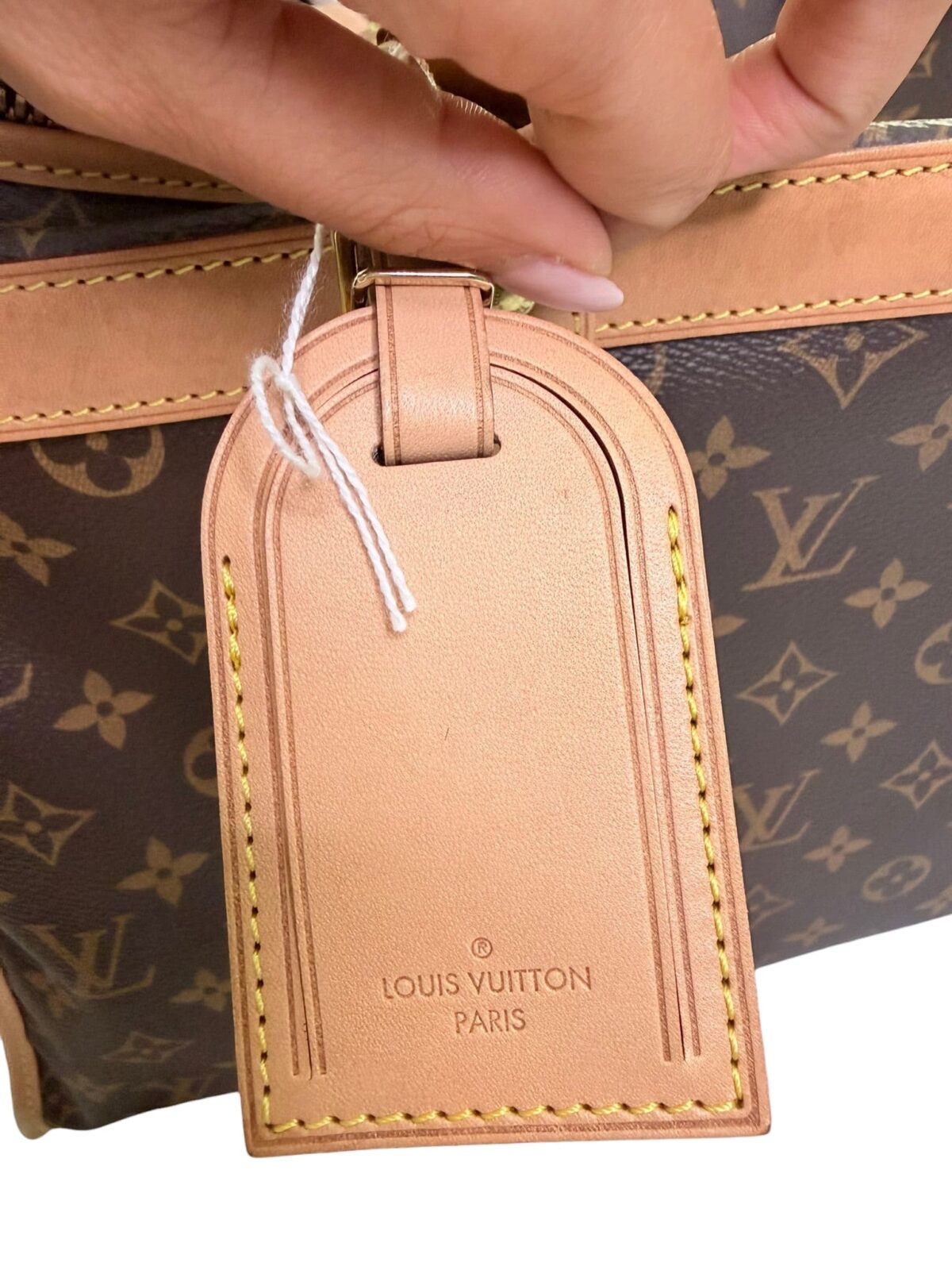 Sac Voyage Chien Louis Vuitton, Très bon état